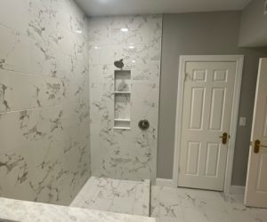 South Tampa Bathroom Remodel Shower Nitch