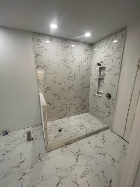 South Tampa Bathroom Remodel Shower